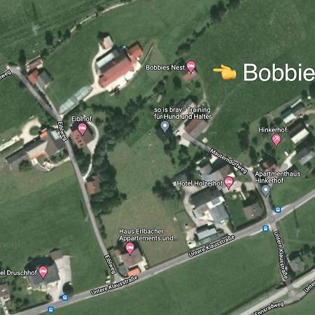 Bobbies Nest Villa Schladming Exteriör bild
