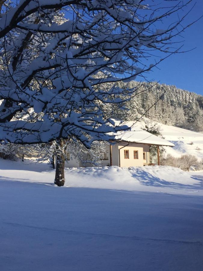 Bobbies Nest Villa Schladming Exteriör bild