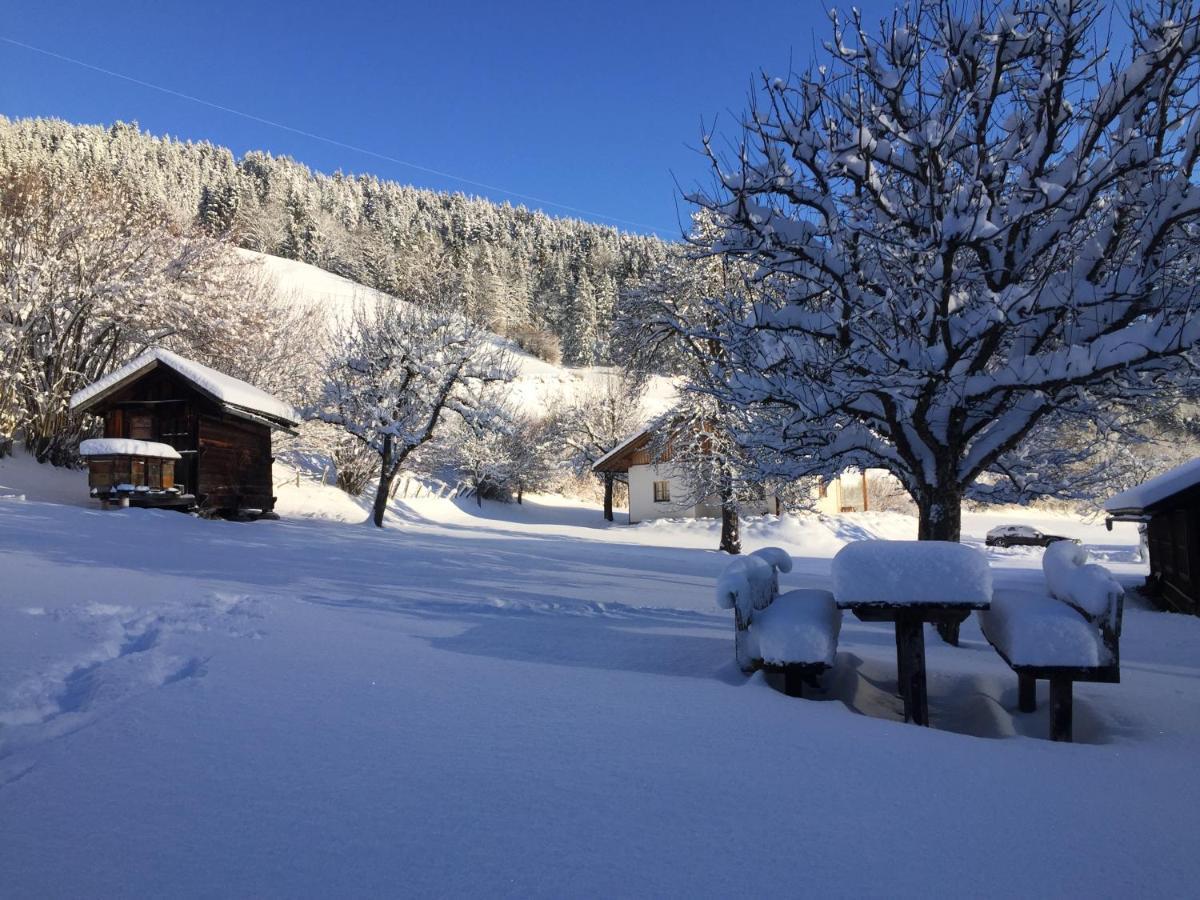 Bobbies Nest Villa Schladming Exteriör bild