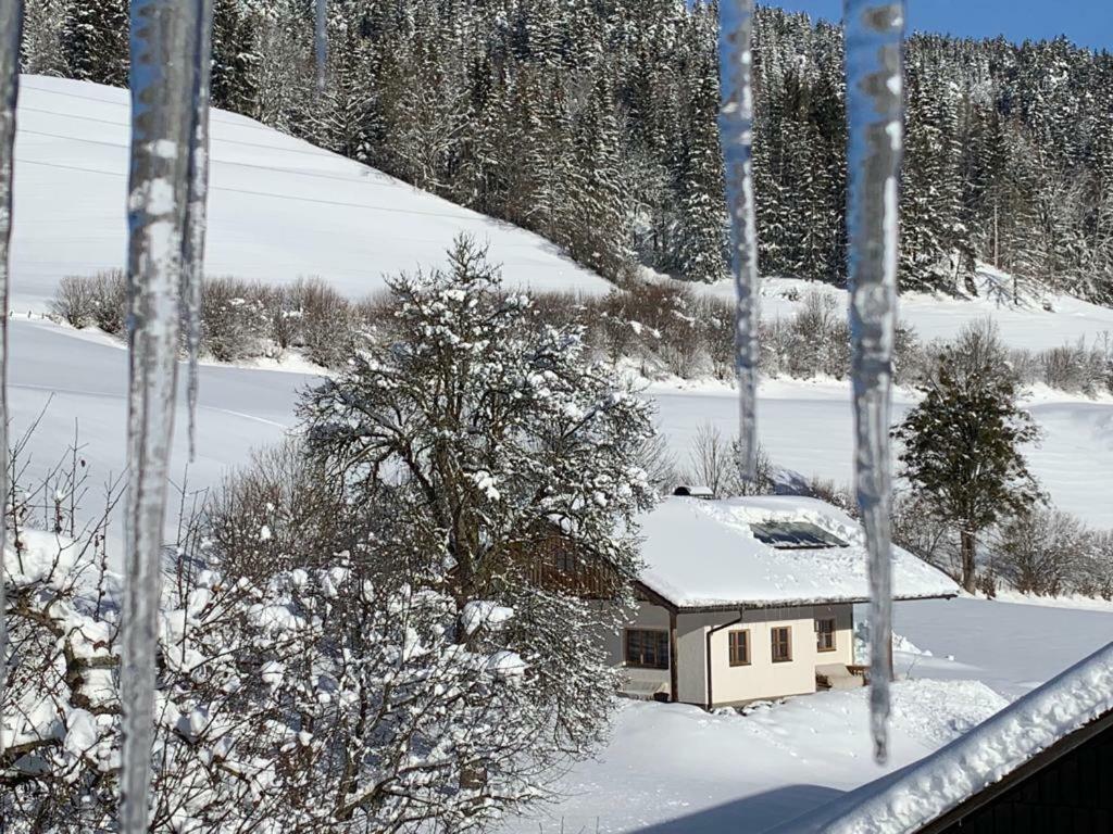 Bobbies Nest Villa Schladming Exteriör bild