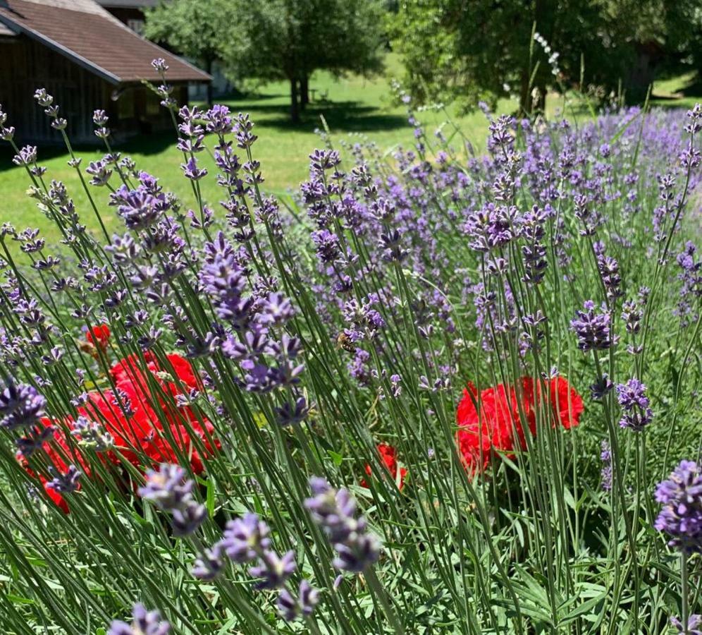 Bobbies Nest Villa Schladming Exteriör bild