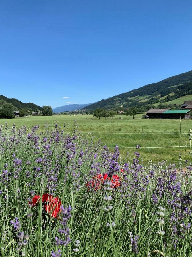 Bobbies Nest Villa Schladming Exteriör bild