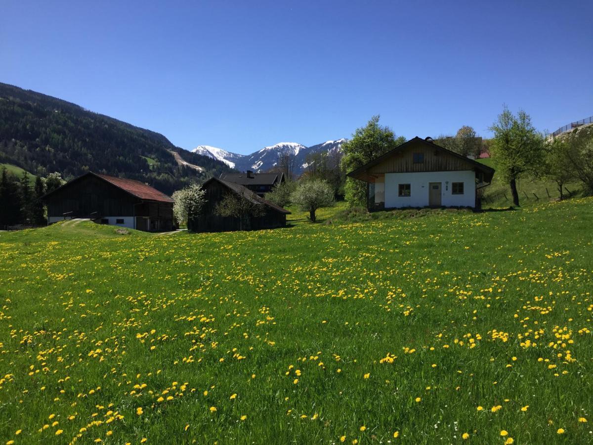 Bobbies Nest Villa Schladming Exteriör bild