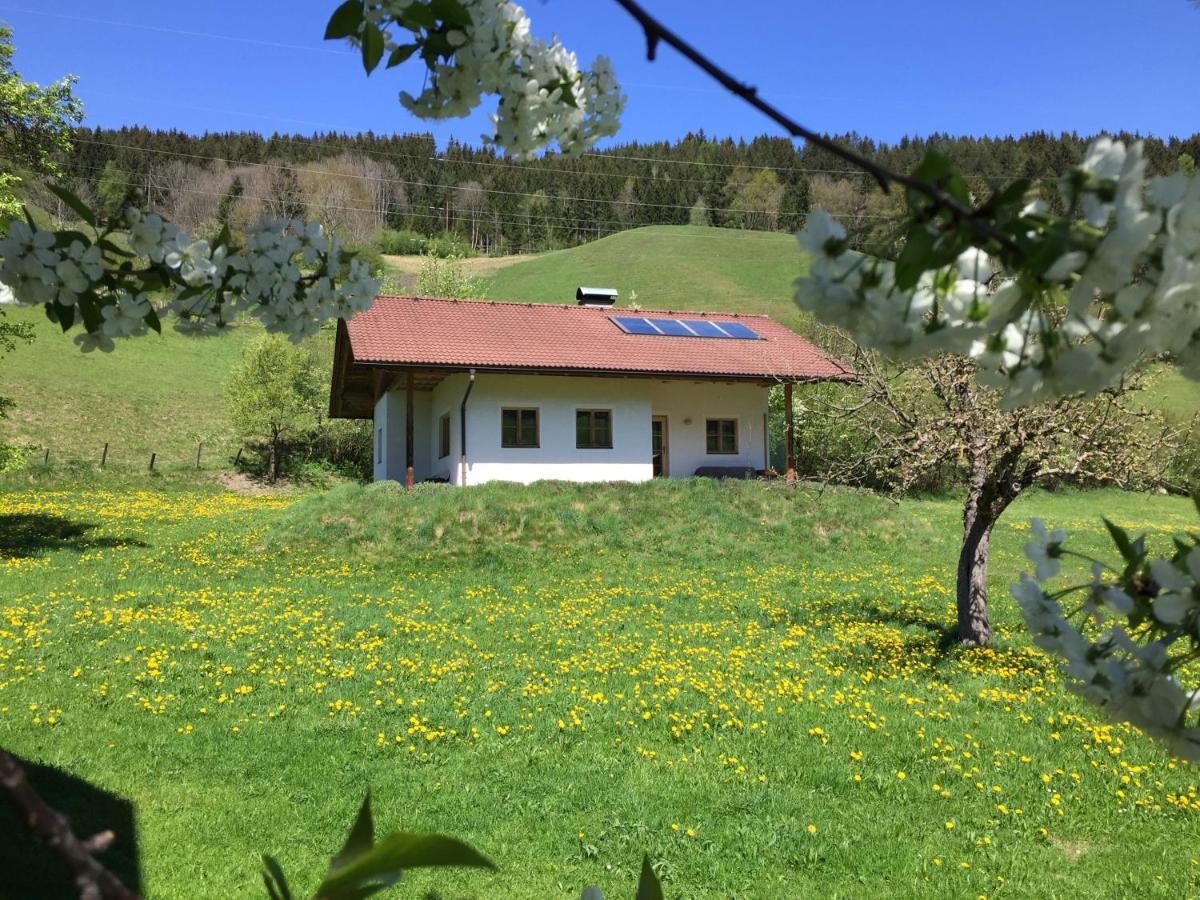 Bobbies Nest Villa Schladming Exteriör bild